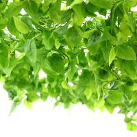 uploads/erp/collection/images/Home Garden/CongDing/XU0611666/img_b/XU0611666_img_b_2